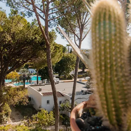 Acolhedor T1, Vista Piscina , Balaia Golf Village * Αλμπουφέιρα